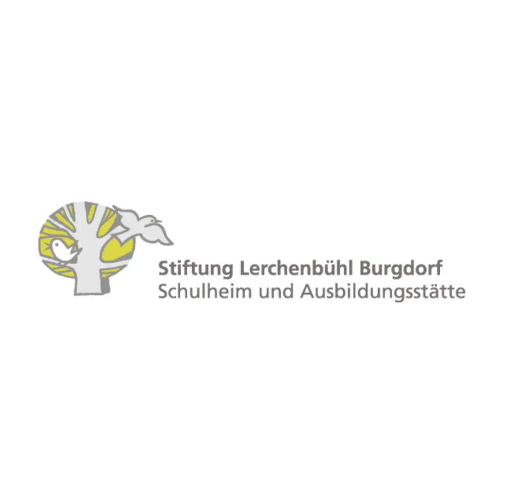 Baukoma-Marketimpact AG baukoma marketimpact ag bkmi marketingagentur solothurn bern grafik stiftung lerchenbuehl corpoarte design before